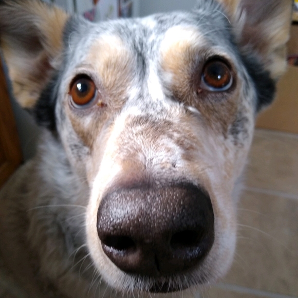 Meet your Posher, Sydnee - Picture 6 of 8